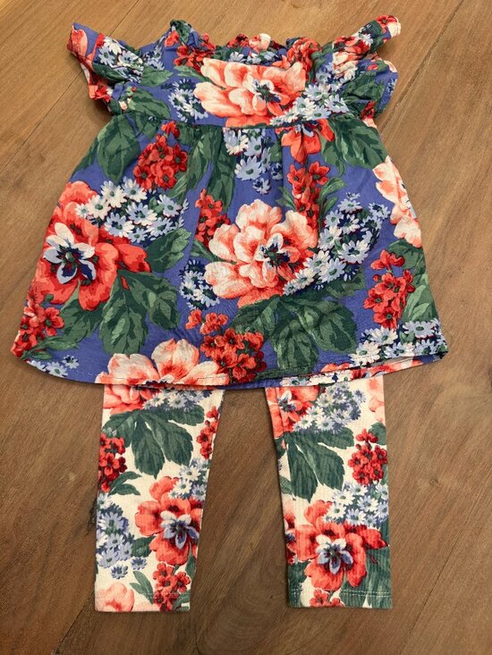 Janie and Jack Other - Janie and Jack Floral Flutter Top & Leggings Set 2T